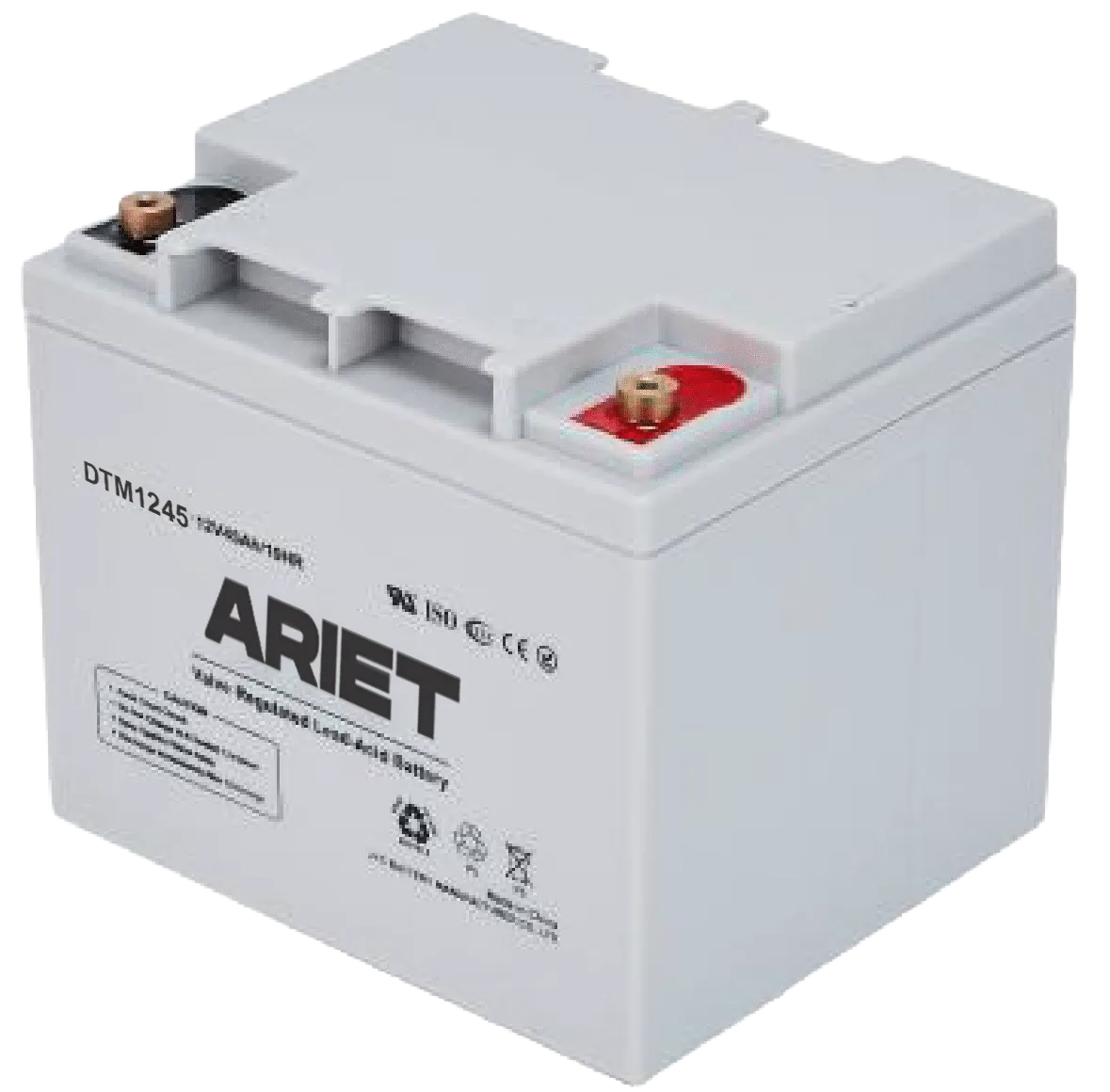 DTM 12-45 (12.95kg) - (12V45Ah)